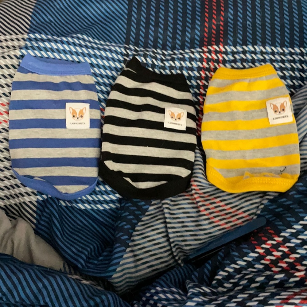 Bundle of doggie outfits